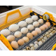 Теплуша Грін ІБ-88 12/50 ТАВ ТЕНовий автоматичний 12в з вологоміром інкубатор домашній для яєць